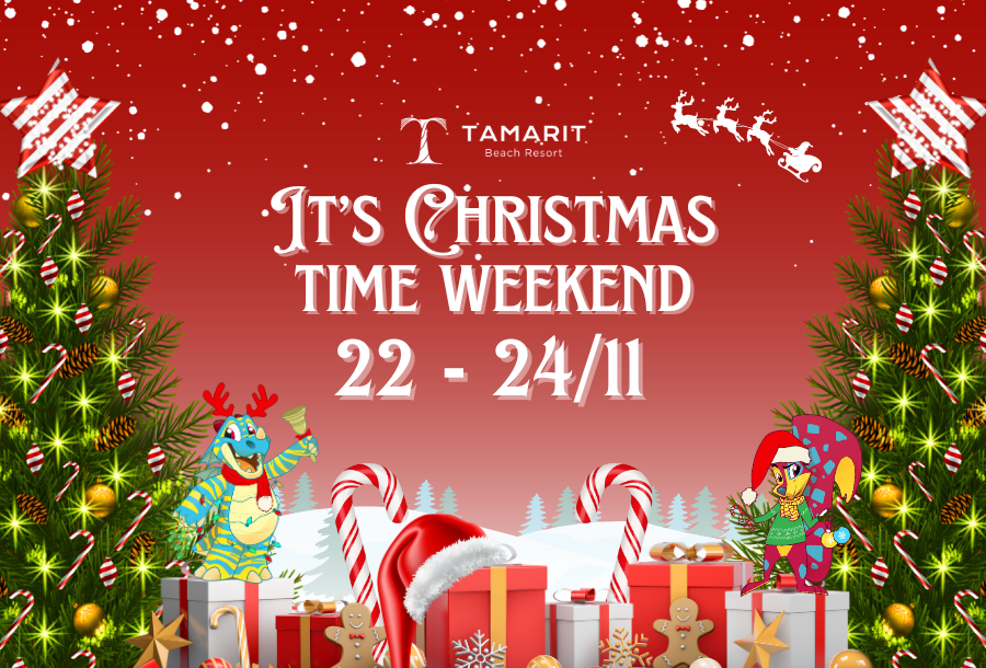 VIVE LA MAGIA DE LA NAVIDAD EN TAMARIT: 22 - 24.11